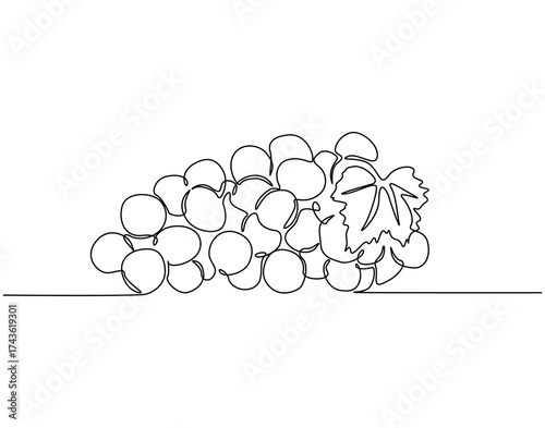 Continuous one line drawing of grapes fruit. One line drawing illustration of bunch of grapes. Healty fruit concept single line. Editable outline