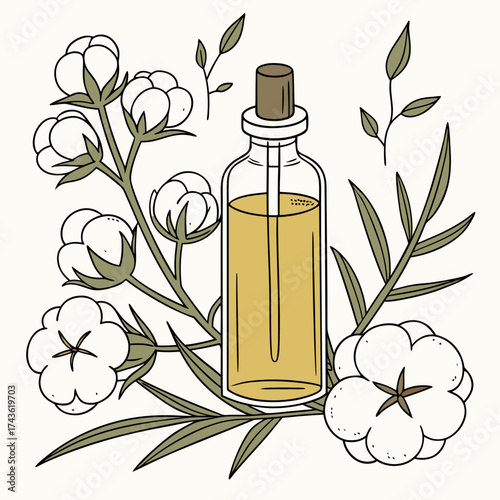 Hand drawn illustration of a glass dropper bottle filled with golden oil surrounded by cotton plant branches and fluffy white cotton bolls