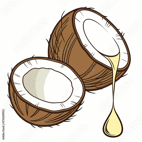 Illustration of a halved coconut with creamy white flesh and a drop of golden oil dripping from one half