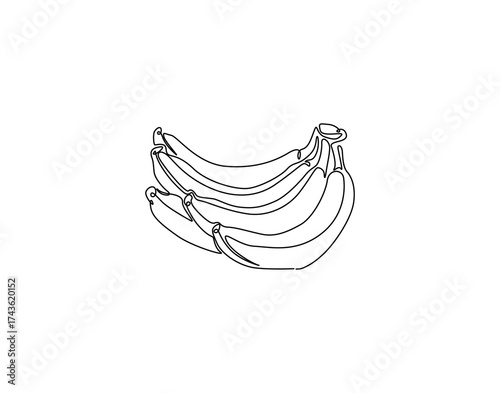 Continuous one line drawing of whole bunch of banana. One line drawing illustration of banana. Healty, fresh fruit concept single line. Editable outline