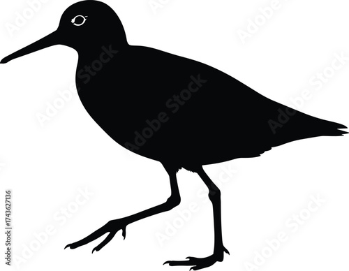 Black silhouette of walking shorebird with long beak and raised leg, vector illustration for nature, wildlife, art, and education themes