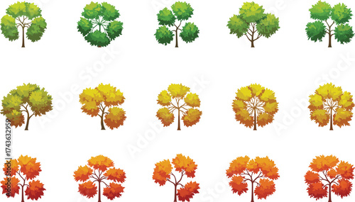 Seasonal tree changes, foliage transition, autumn colors, nature icons, botanical shapes, deciduous trees, vector trees, leaf color stages, landscape elements