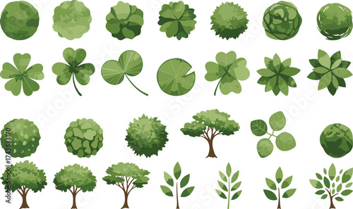 Tree canopy top views, leaf illustration set, stylized foliage graphics, botanical textures, nature design elements, garden planning, isolated plant icons