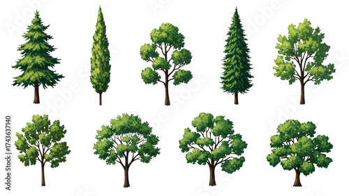 Top View Green Trees Vector Set – Botanical Elements for Outdoor Plan, Map, and Architecture Drawing