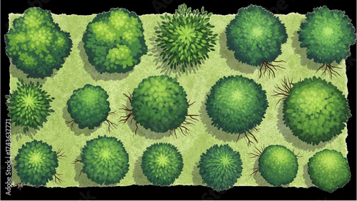 Top View Green Trees Vector Set – Botanical Elements for Outdoor Plan, Map, and Architecture Drawing