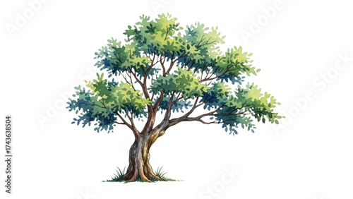 Top View Green Trees Vector Set – Botanical Elements for Outdoor Plan, Map, and Architecture Drawing