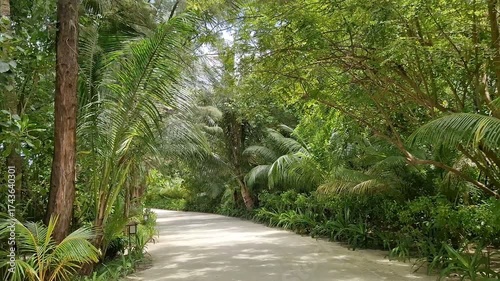 A relaxing tropical resort path surrounded by lush green vegetation. Maldives.