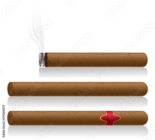 realistic tobacco cigar cartoon stock vector illustration isolated on white background