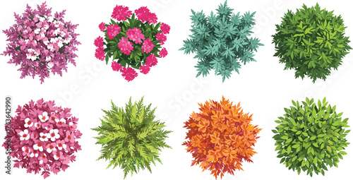 Top-down cartoon flowering bush set in pink, orange, green, and blue — ideal for garden design, game assets, landscape illustrations, eco branding, and digital art projects