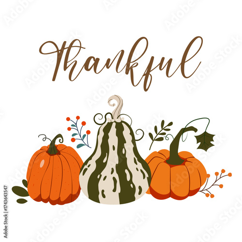 Greeting card fpr Thanksgiving celebration with pumpkins and leaf Vector holiday illustration Decor for October 31st	
