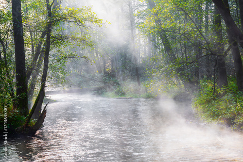 Fototapeta Naklejka Na Ścianę i Meble -   Mglisty poranek na Warmii.