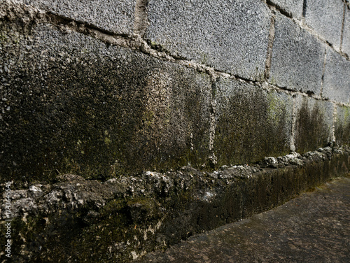 Moisture damage and mold growth on concrete wall foundation - Damp building problem with water seepage and deterioration issues