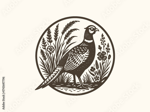 Pheasant in floral frame engraving style vector illustration