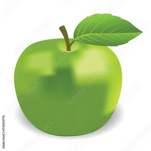 Apple fruit realistic vector illustration