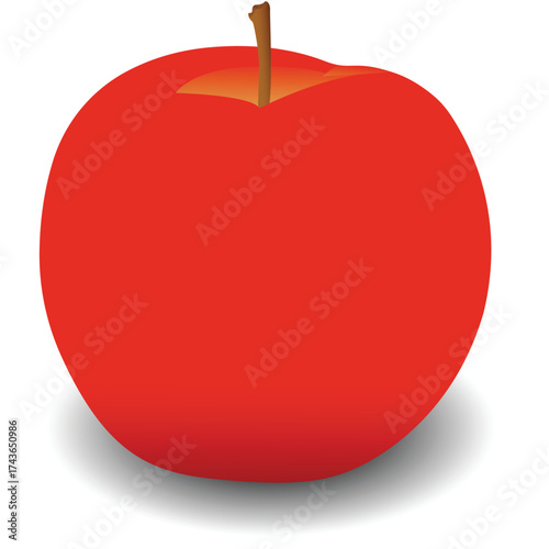 Apple fruit realistic vector illustration