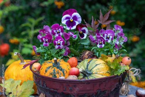 Herbst-Arrangement mit Kürbissen und Hornveilchen in alter Gugelhupfform	