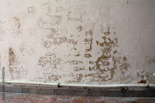 Wall with Damp Stains and Saltpeter Efflorescence Caused by Rising Capillary Moisture