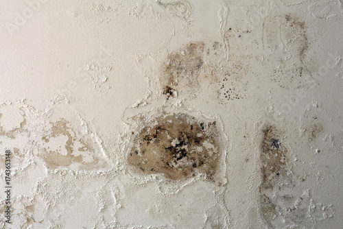 Fotografía Wall with Damp Stains and Saltpeter Efflorescence Caused by Rising Capillary Moi