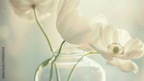 Spring & Summer Floral Beauty: Pink Roses, Purple Peonies, and Daisy Bouquets in Garden Arrangements