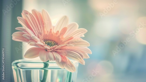 Spring & Summer Floral Beauty: Pink Roses, Purple Peonies, and Daisy Bouquets in Garden Arrangements