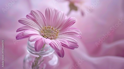 Spring & Summer Floral Beauty: Pink Roses, Purple Peonies, and Daisy Bouquets in Garden Arrangements