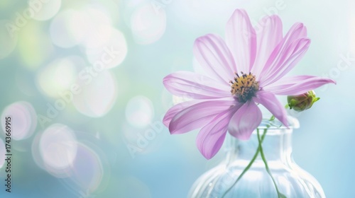 Spring & Summer Floral Beauty: Pink Roses, Purple Peonies, and Daisy Bouquets in Garden Arrangements