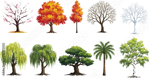 Tree collection, seasonal trees, cherry blossom, autumn foliage, winter tree, birch, palm, willow, nature, deciduous, tropical, snow tree, green leaves, bare branches, tree diversity, landscape