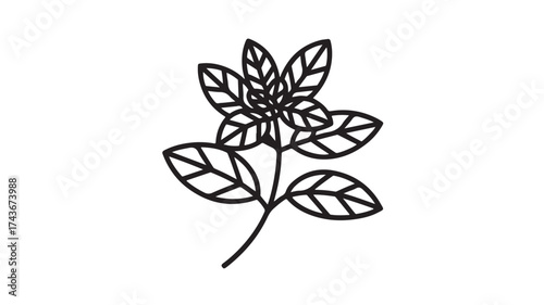 Stylish sprig of fresh basil offers a clean, modern graphic element for culinary designs, organic product branding, or natural wellness promotions, bringing an elegant touch to your project