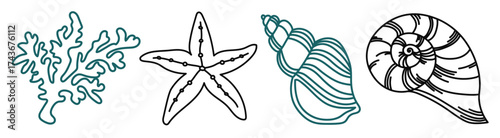 Hand drawn sea shells outlined in black and turquoise on white background. Vector illustrations in doodle sketch style. Summer elements for print. Coral, starfish, seashells line art vectors.