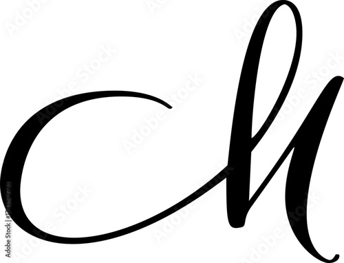 Vector calligraphy hand drawn letter M icon logo. Script font. Handwritten brush style
