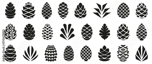 Pine cone icons. Set of simple black pine cone. Pine cone logotype. Set of forest pine branches, cones