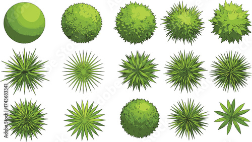 Top view plant icon set, spherical and spiky foliage, geometric greenery, perfect for landscape design, garden graphics, nature illustrations, and botanical elements