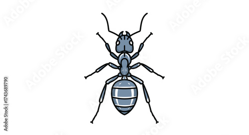 Detailed close up illustration of a common black ant showing its segmented body and antennae.