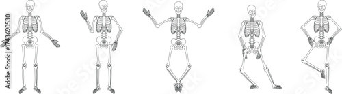 Dancing human skeleton bones icon set collection group isolated on transparent background in black and line style, anatomy spooky skull cranium medical illustration vector bundle design elements
