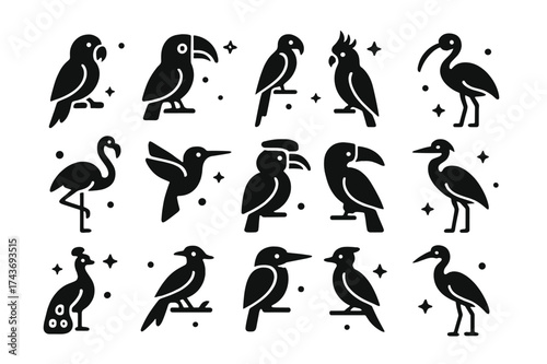 Tropical Bird Icons. Tropical Birds. Solid icons set of Tropical Birds: parrot, toucan, macaw, cockatoo, flamingo, hummingbird, hornbill, ibis, peafowl, bird