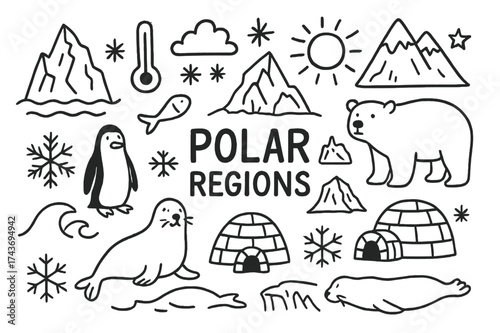 Polar Doodle Elements. Polar Regions. Hand-drawn doodle illustration Polar Regions iceberg, snowflake, glacier, sun, polar bear, penguin, seal, igloo, fish,
