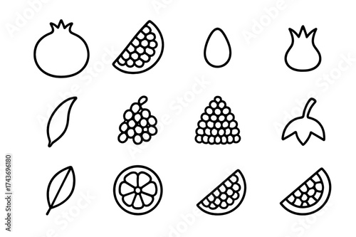Pomegranate Anatomy Icons. Pomegranate anatomy. Line icon set of pomegranate anatomy: outer skin, inner seeds, arils, placenta, crown, membrane,