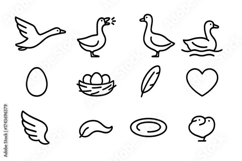 Goose Icon Set. Goose behavior. Line icon set of goose behavior: flying goose, honking goose, standing goose, swimming goose, egg, nest, feather, wing, heart,