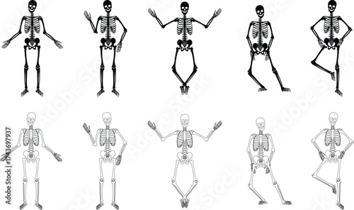 Dancing human skeleton bones icon set collection group isolated on transparent background in black and line style, anatomy spooky skull cranium medical illustration vector bundle design elements