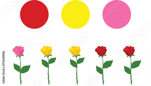 Roses. Educational game for children. Find the correct shadow.