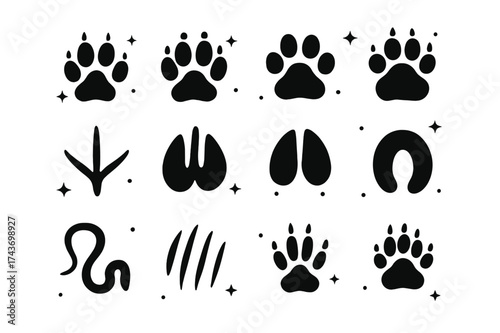 Animal Track Icons. Animal tracks. Solid icons set of Animal tracks: jackal paw print, wolf paw print, fox paw print, bear paw print, lion paw print, bird