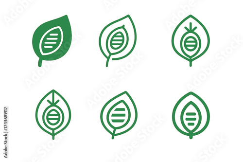 Chloroplast Logo Variations. How a plant makes food. Set Logo of chloroplast: stylized oval structure inside leaf. harmonious logo variations of the same
