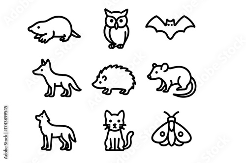 Nighttime Animal Icons. Nighttime Animals. Line icon set of Nighttime Animals: mole, owl, bat, raccoon, fox, hedgehog, skunk, possum, wolf, cat, firefly, moth.