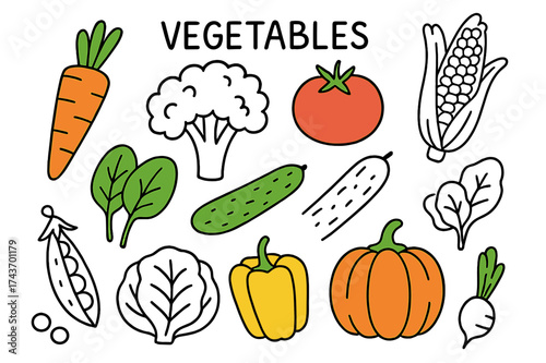 Colorful Vegetable Doodles. Vegetables. Hand-drawn doodle illustration carrot (colored), broccoli, tomato (colored), cucumber, spinach (colored), corn, bell