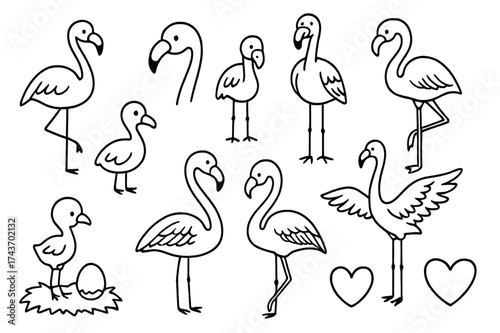 Minimalistic Flamingo Sketches. Flamingos. Hand-drawn doodle illustration flamingos flamingo outline minimal, flamingo abstract shape, flamingo icon set,