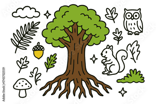 Whimsical Forest Scene. Forest Giants. Hand-drawn doodle illustration tall tree (colored), thick trunk, canopy (colored), roots, moss (colored), fern, acorn