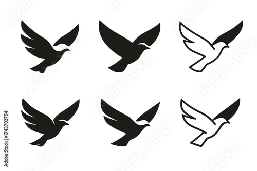 Bird Logo Variations. Bird soaring in the sky. Set Logo of Nature: wings spread bird icon. harmonious logo variations of the same emblematic concept, each with