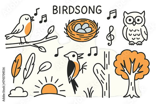 Vibrant Birdsong Illustration. Birdsong. Hand-drawn doodle illustration singing bird (colored), nest, eggs (colored), musical notes, branch (colored), owl,