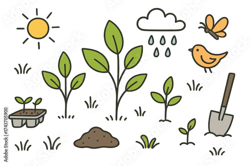 Young Forest Scene. Young Forest. Hand-drawn doodle illustration group of saplings (colored), bird, sunshine (colored), grass, raindrops (colored), cloud,