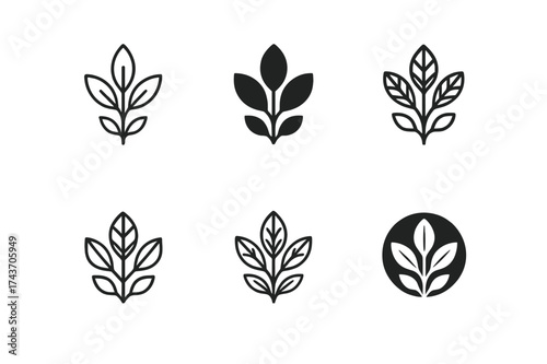 Nature-Themed Logo Designs. Nature vibe package design with flowers and plants. Set Logo of Packaging: leafy pattern icon. harmonious logo variations of the